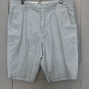 J. Crew Blue and White Striped Men's Shorts